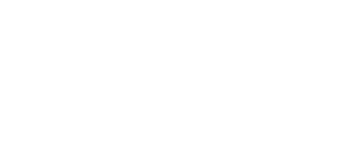 TPV Vision Innovator